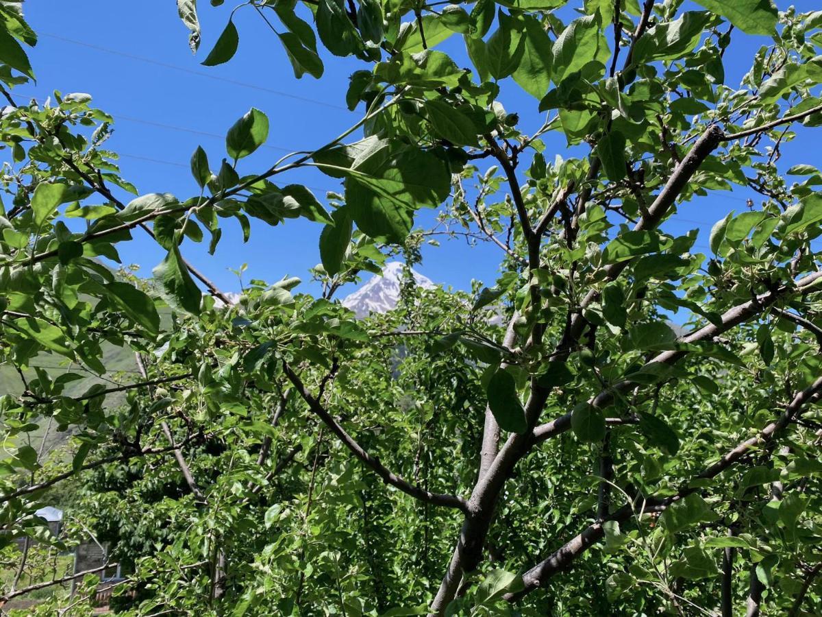 Geo Inn Stepancminda Exteriér fotografie